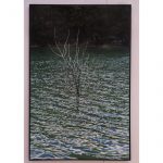 f2